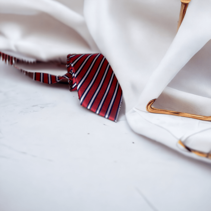 men's luxury silk tie trendy chic new